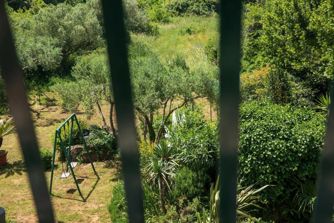 Villa Mareonda - Apartments Sussurro Rovinj Dış mekan fotoğraf